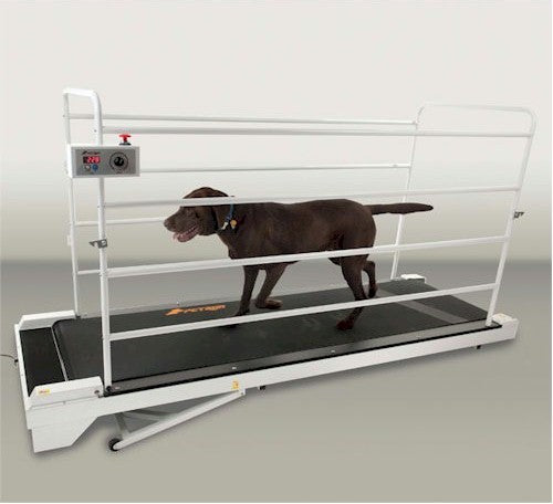 Dog Treadmills