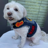 Guns N' Roses Harness