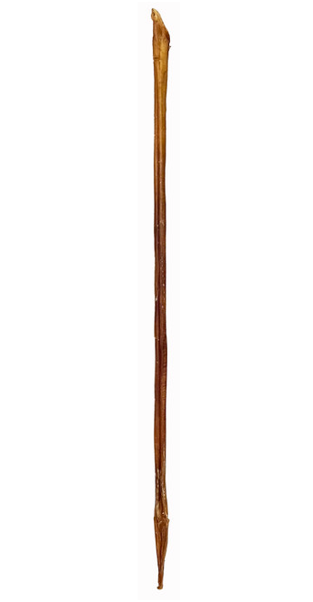 12 Inch Spiral Bully Stick