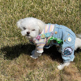 Flower Power Overalls