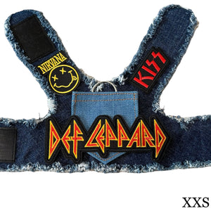 Def Leppard Harness