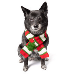 Christmas Dog Scarf