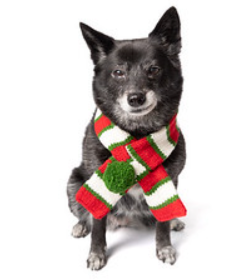 Christmas Dog Scarf