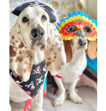 Halloween Bandana - Jolly Roger Skull