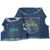 Personalized Denim Harness