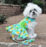 Pineapple Luau Dress w/ Leash & D-Ring