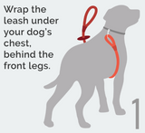 Reflective Combination Harness/Leash - Imperial Red