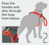 Reflective Combination Harness/Leash - Imperial Red