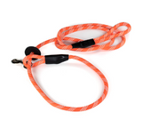 Reflective Combination Harness/Leash - Imperial Red