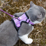 Mr. Peanut's PurrTrek Reflective Cat Harness with Matching Leash