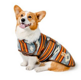 Fashionable Sunset Dog Blankets Coat | Le Pet Luxe