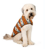  Sunset Dog Blankets Coat | Le Pet Luxe