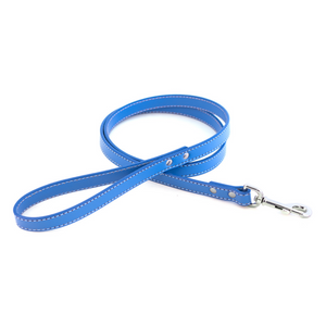 Dover Court Leash ~ Royal Blue