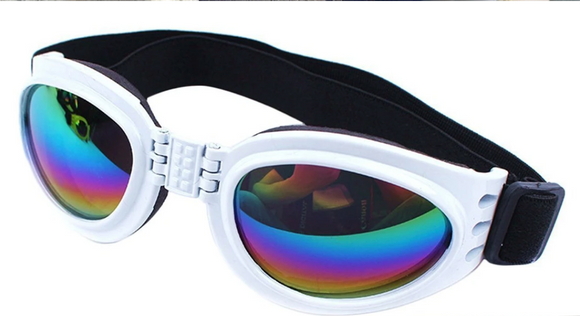 QUMY Dog Sunglasses - White