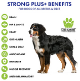 NEW!!! Strong Plus + Probiotic, Protein, & Joints - for Dogs & Cats