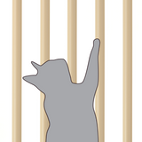 Cat Safety Gate - White