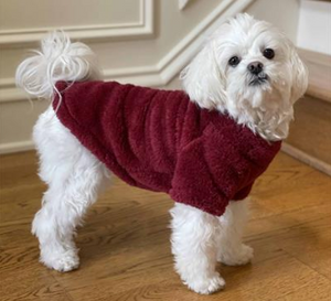 Best Soft Plush Pullovers - Burgundy