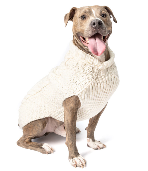 Cable knits - Natural Cable Wool Dog Sweater