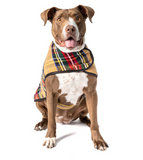 Tan Tartan Plaid Blanket Dog Coat