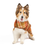 Rust Plaid Dog Coat