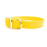 Sparky’s Choice Standard Buckle Collar - Creamsicle