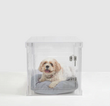 Clear Dog Crate to Gate | Small