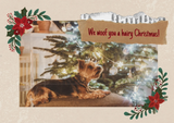 Personalized Holiday and Events Cards for Pet Parents