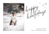 Personalized Holiday and Events Cards for Pet Parents