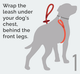 Cotton Rope Combination Harness / Leash in Red – Easy as 1-2-3!