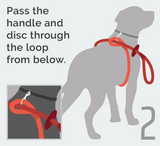 Cotton Rope Combination Harness / Leash in Grey – Easy as 1-2-3!