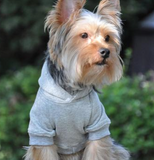 Fit Dog Hoodies - Blue| Le pet Luxe