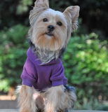 Flex-Fit Gray Dog Hoodie | Le pet Luxe