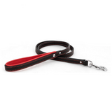 Best Padded Leather Leash