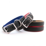 Padded Leather Collar - Burgundy and Blue