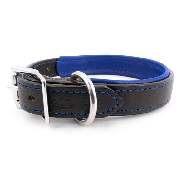 Padded Leather Collar - Black and Blue