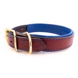 Padded Leather Collar - Burgundy and Blue