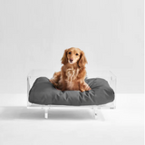 Clear Rectangular Lucite Dog Bed