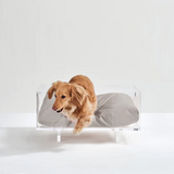 Clear Rectangular Lucite Dog Bed