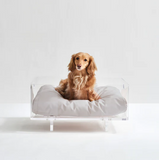 Clear Rectangular Lucite Dog Bed