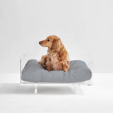 Clear Rectangular Lucite Dog Bed