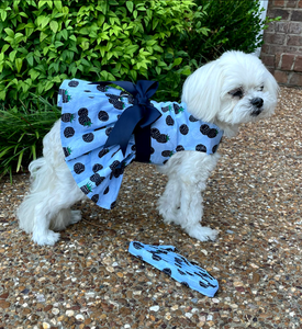 Blackberries Dog Dress with Matching Leash