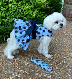 Blackberries Dog Dress with Matching Leash