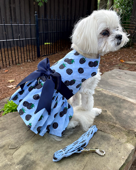 Blackberries Dog Dress with Matching Leash