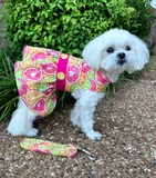  Citrus Slice Dog Dress 