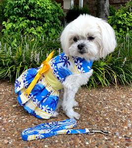 Catching Waves Dog Dress with Matching Leash