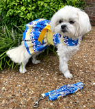 Catching Waves Dog Dress with Matching Leash