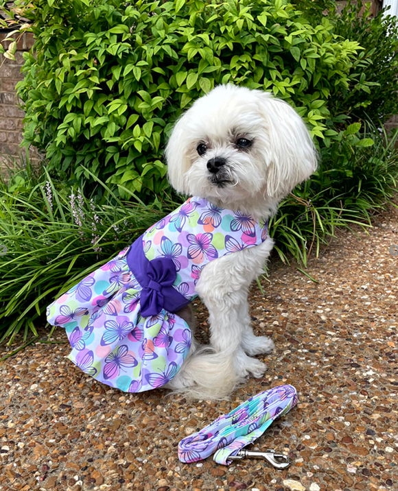 Purple Butterfly Dog Dress with Matching Leash