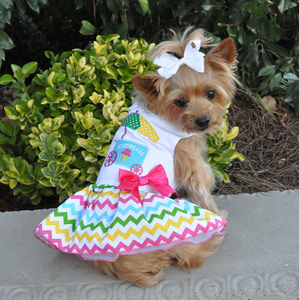 Best Ice Cream Cart Dress