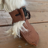 Dog Mocs - Quick-Tie Lace Locks