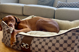 Signature Scoop Dog Bed - Coco